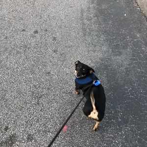 Meet your Posher, Victor